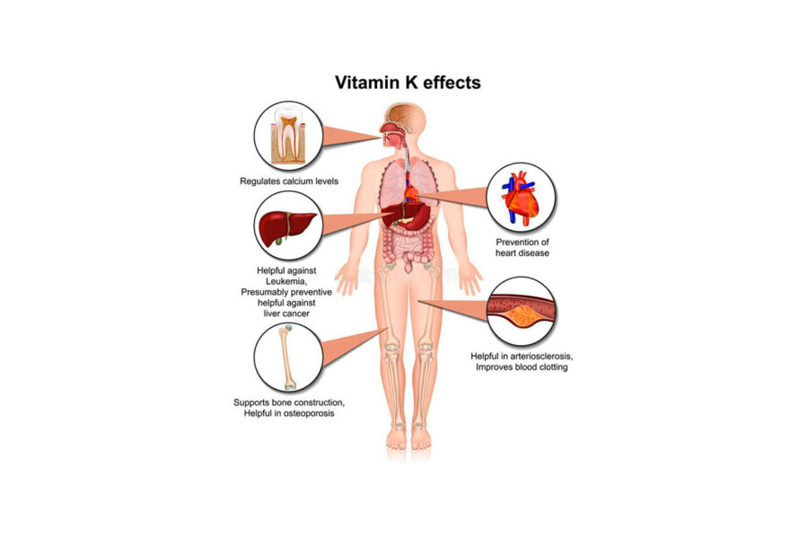 Papel ignorado de la Vitamina K en los Seres Humanos