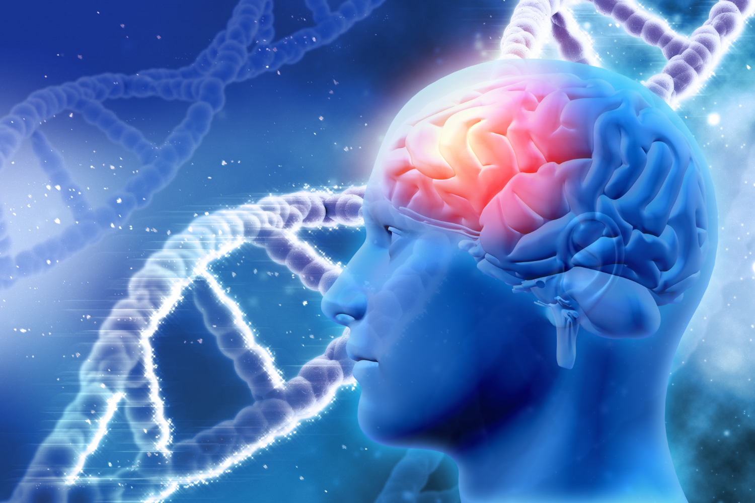 Representación 3D de una cerebro recibiendo estímulos neuronales - Dr. Jorge Cubrías