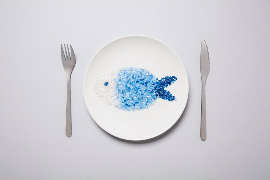 Pescado hecho a base de microplasticos